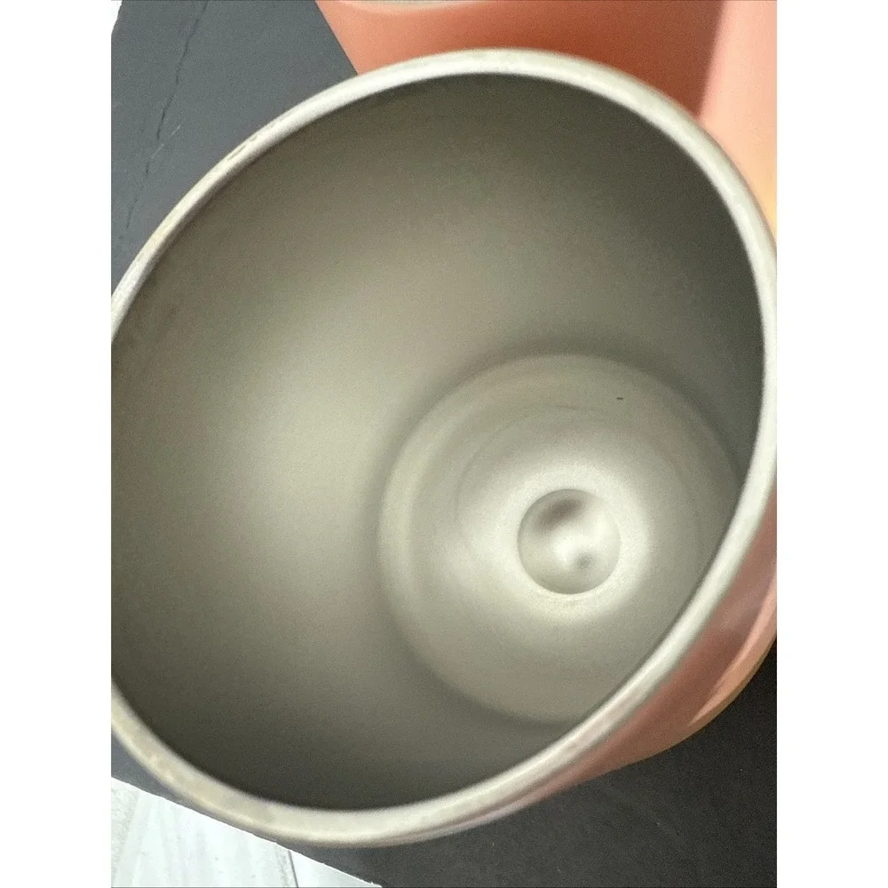 Pier 1 Stainless Steel Insulated Tumbler Lidded To Go Set Of 2‎ Peach 14 Oz
